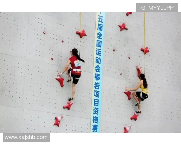 运动数据攀岩之巅深入了解上海攀岩队的默契与协作精神